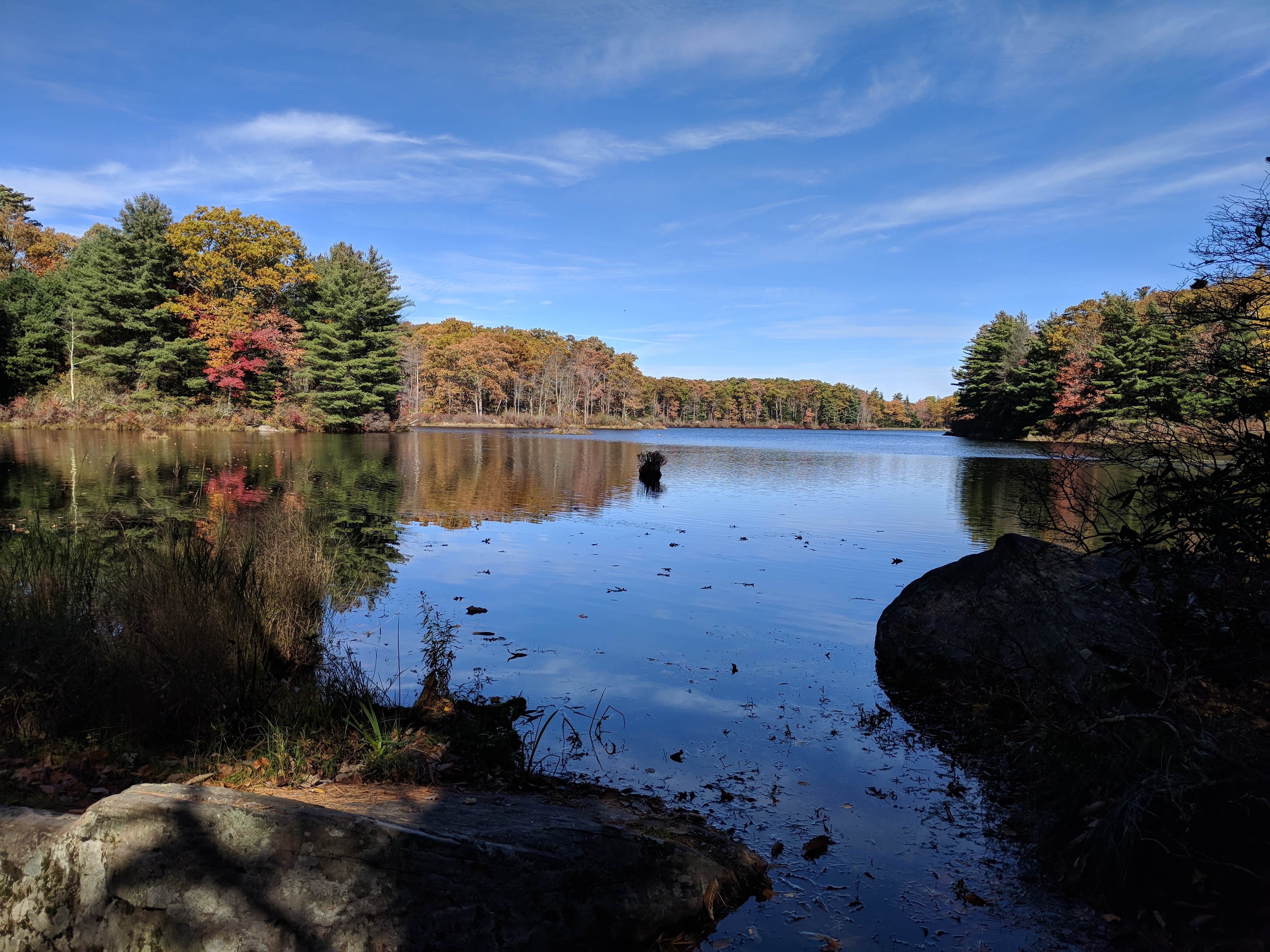 Camper-submitted photo at Lower Lake Campground Beechwood Area — Promised Land State Park near Hewitt, NJ