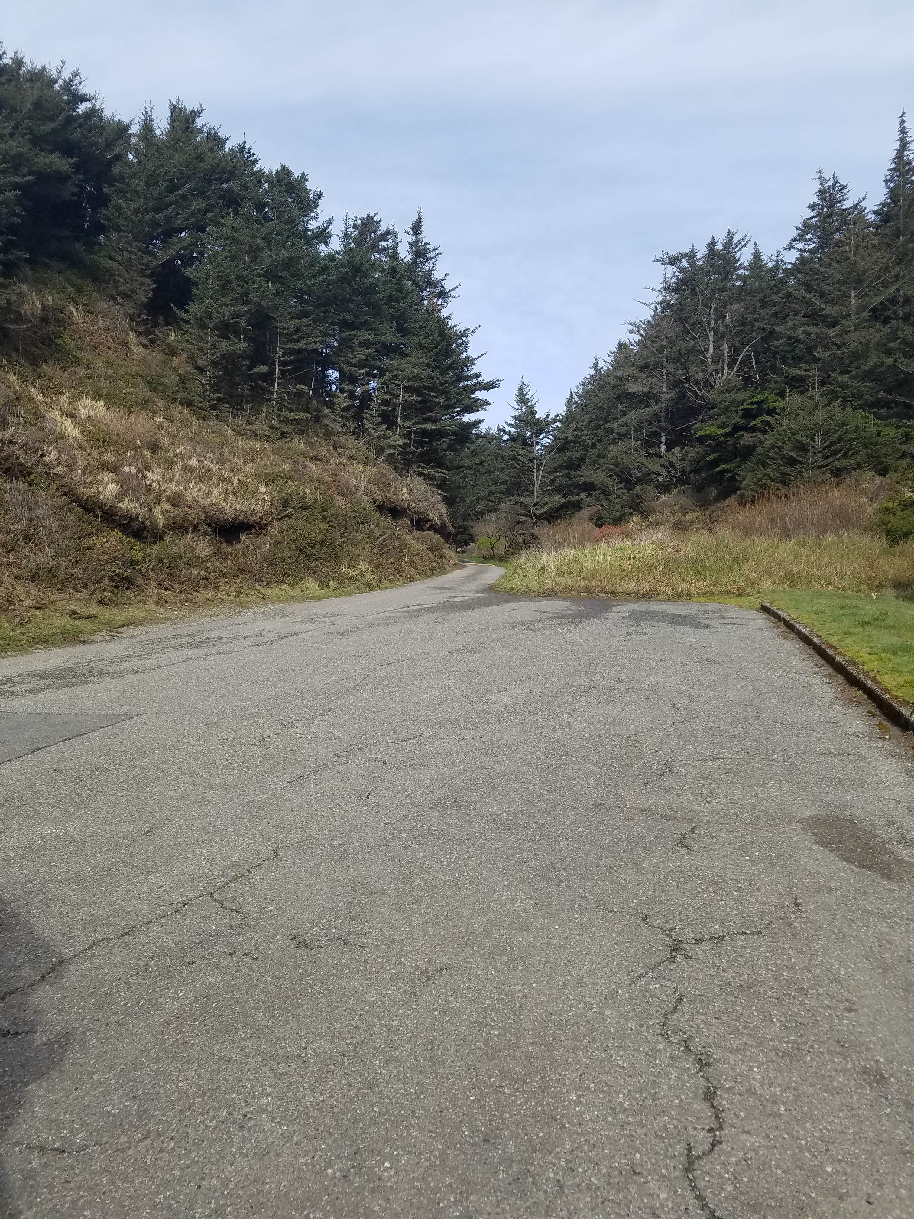 Camper-submitted photo at Cape Blanco State Park Campground near Bandon, OR