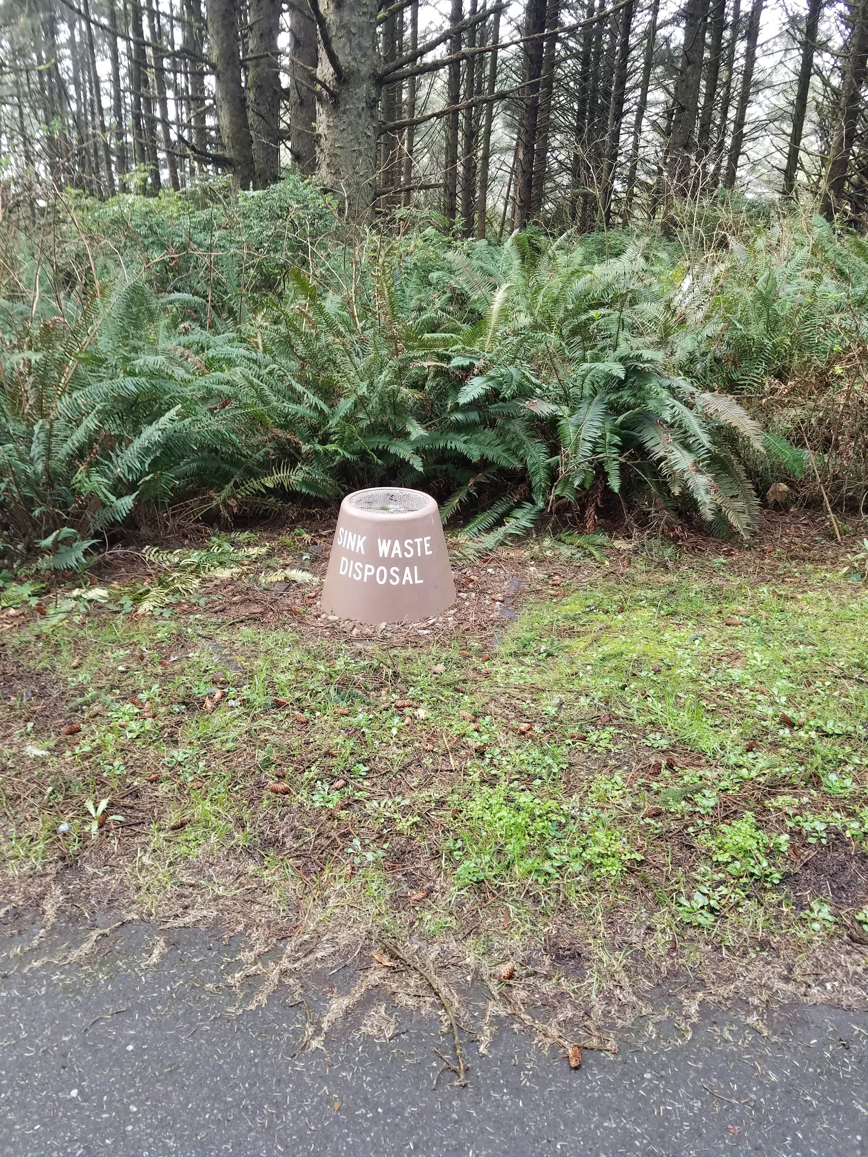 Camper-submitted photo at Cape Blanco State Park Campground near Bandon, OR