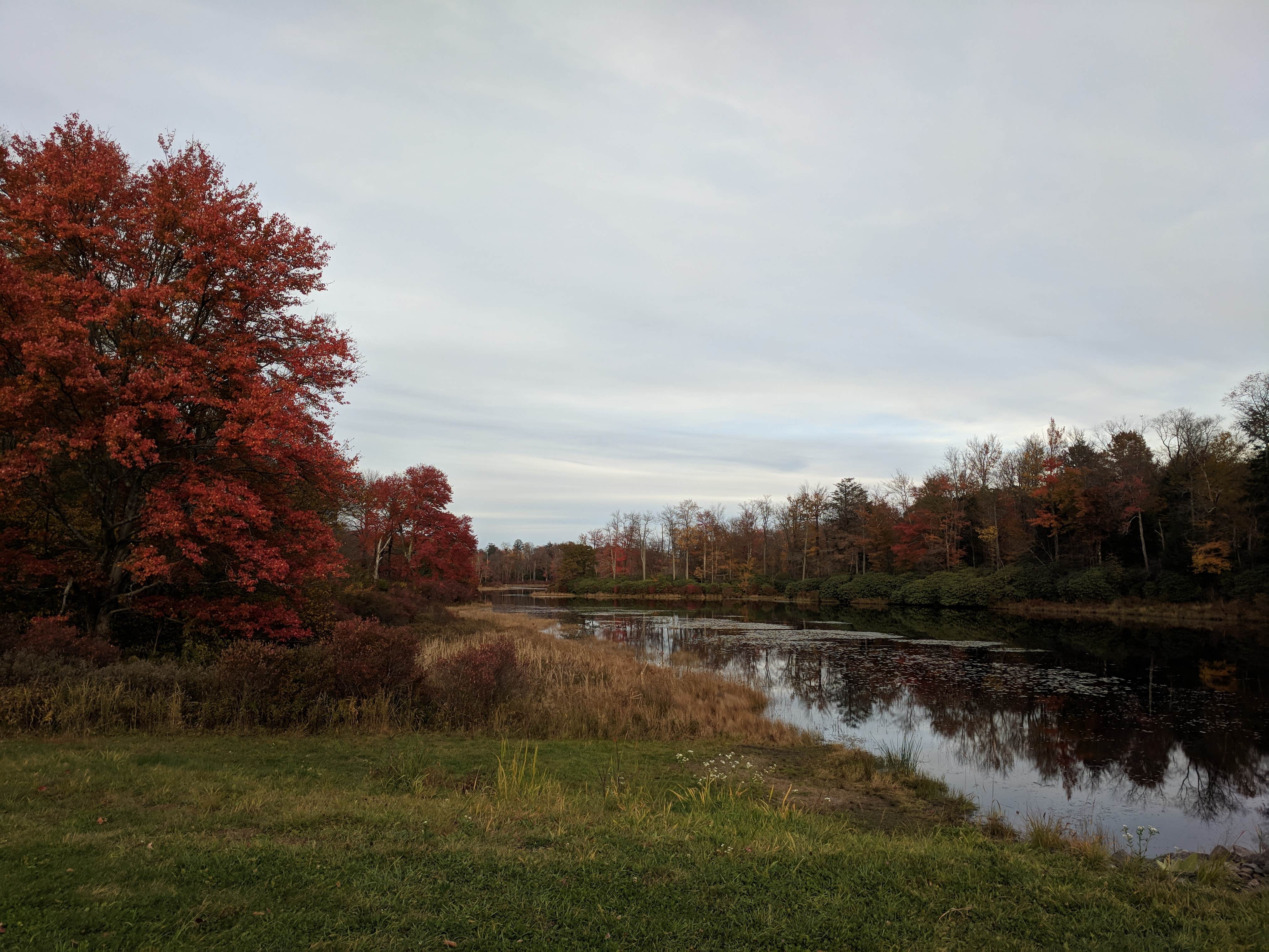 Camper submitted image from Lower Lake Campground Beechwood Area — Promised Land State Park - 1