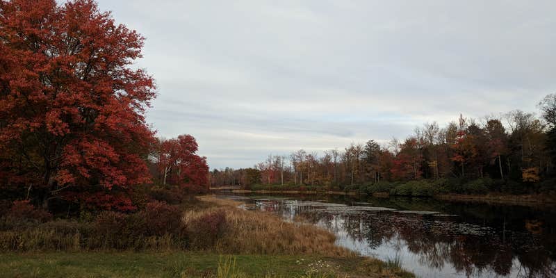 Camper submitted image from Lower Lake Campground Beechwood Area — Promised Land State Park
