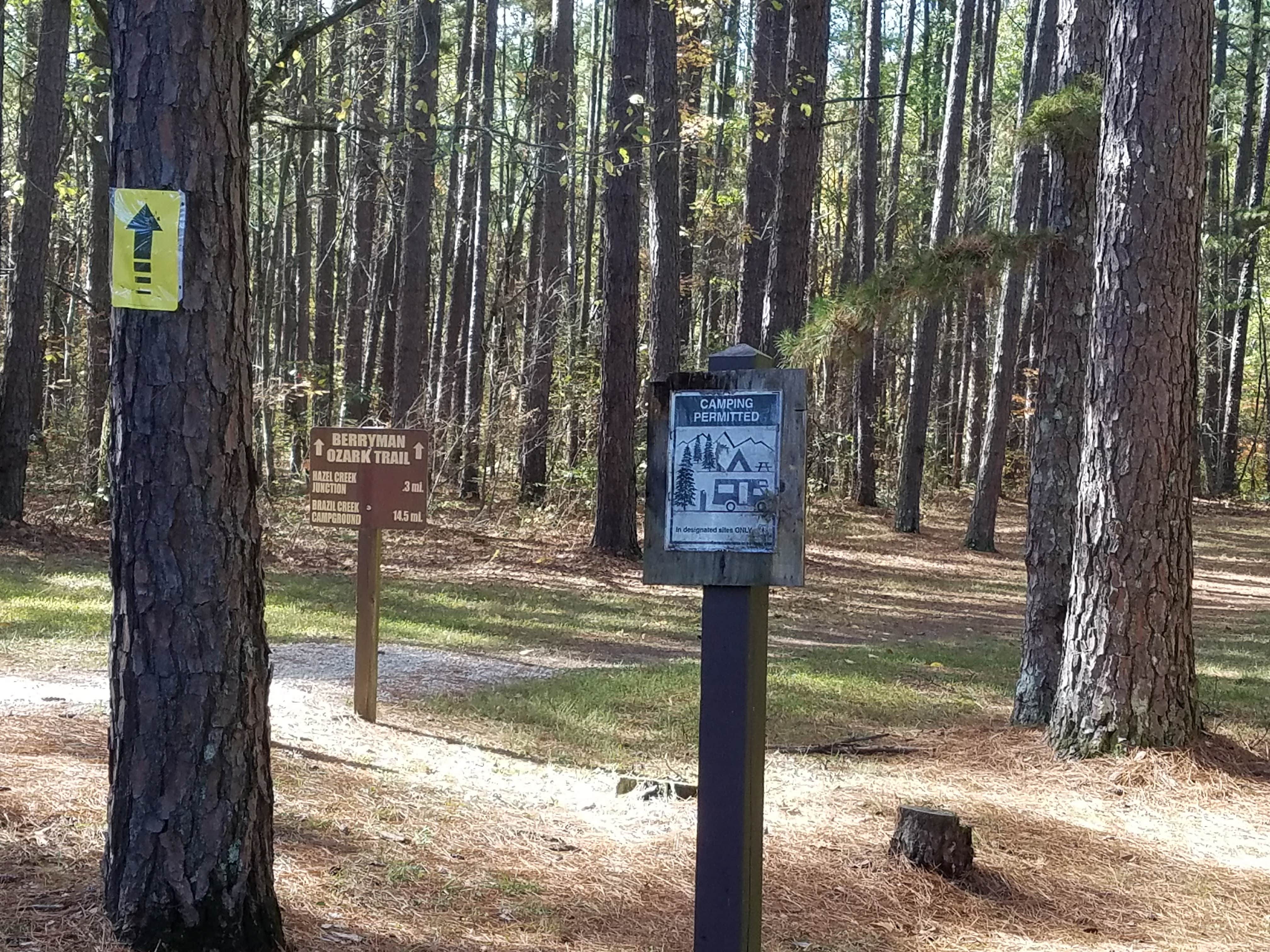 Berryman campground 2025