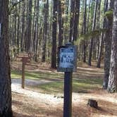 Review photo of Berryman Trail & Campgrounds - Mark Twain National Forest by Staci R., October 24, 2017