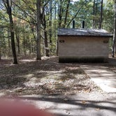 Review photo of Berryman Trail & Campgrounds - Mark Twain National Forest by Staci R., October 24, 2017