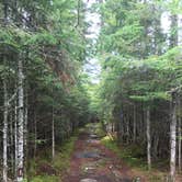Review photo of Deer Mountain Campground by Tim K., July 1, 2016