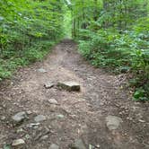 Review photo of Frozen Head State Park Campground by Rachael H., June 17, 2020