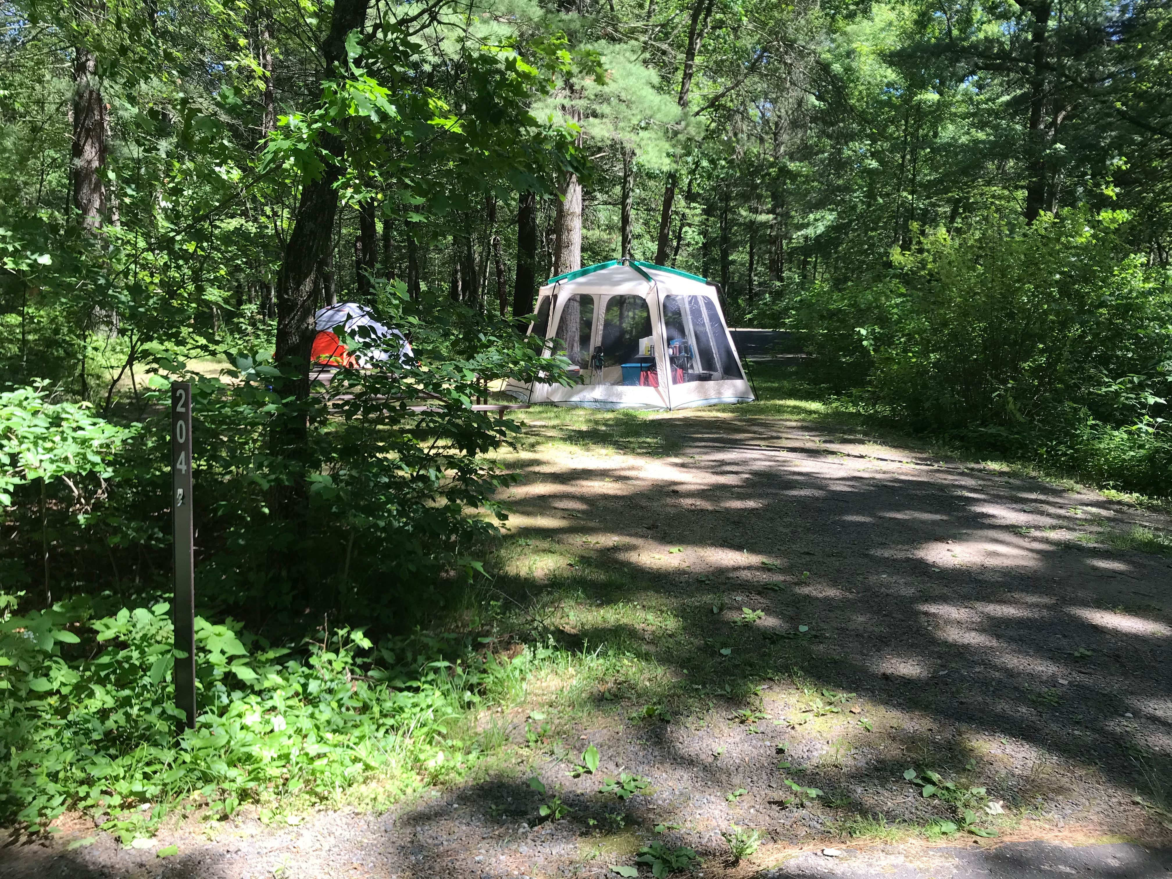 Krista T.'s photo at Pigeon Creek Campground — Black River State Forest near Neillsville, WI