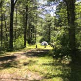 Review photo of Pigeon Creek Campground — Black River State Forest by Krista T., June 16, 2020