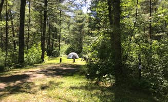 Krista T.'s photo at Pigeon Creek Campground — Black River State Forest near Marshfield, WI