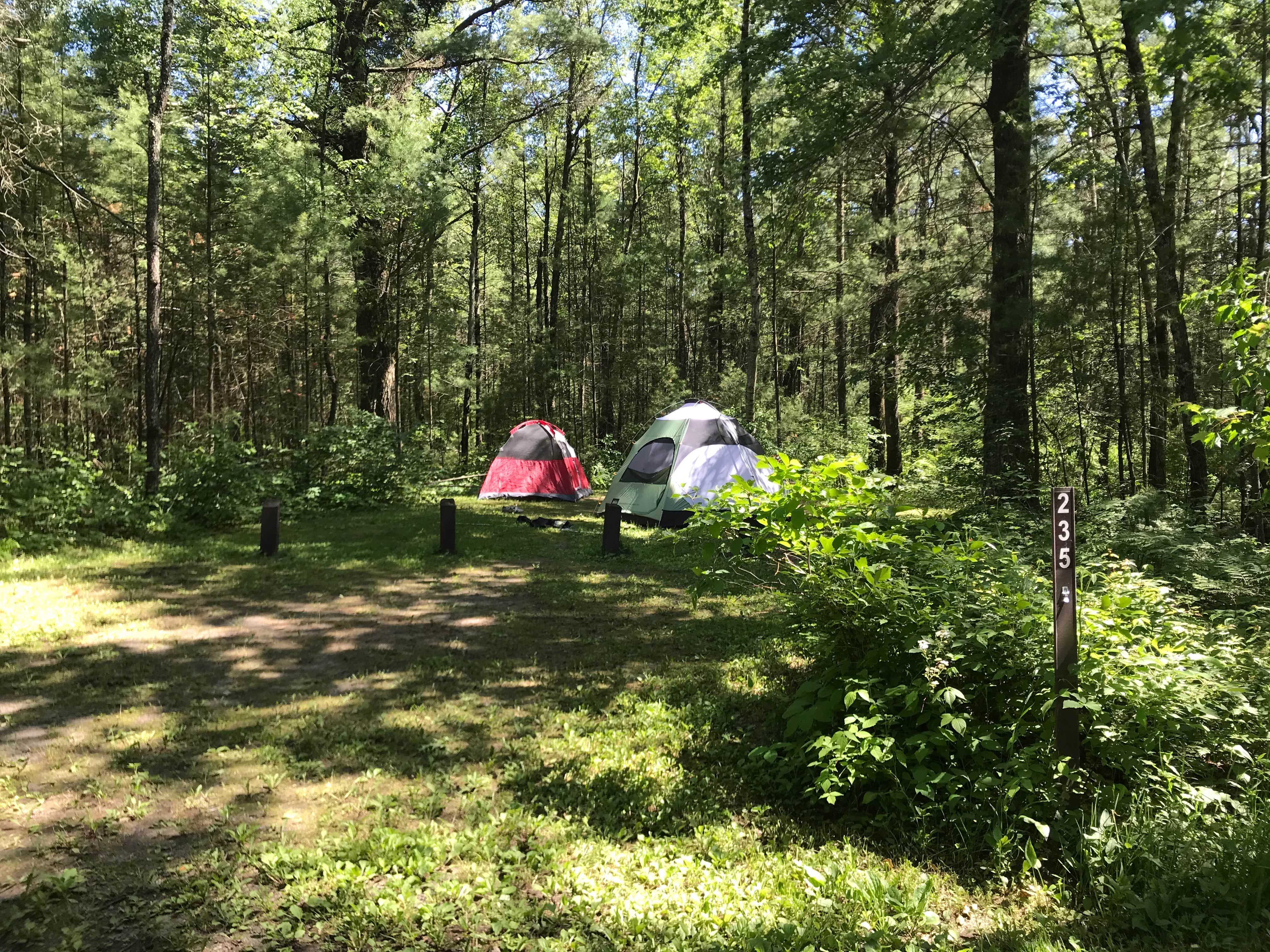 Krista T.'s photo at Pigeon Creek Campground — Black River State Forest near Merrillan, WI