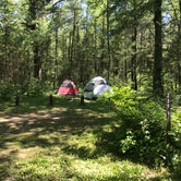 Review photo of Pigeon Creek Campground — Black River State Forest by Krista T., June 16, 2020