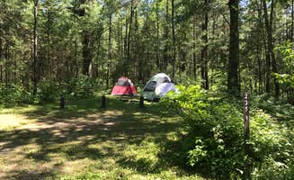 Krista T.'s photo at Pigeon Creek Campground — Black River State Forest near Merrillan, WI