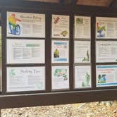 Review photo of Brazil Creek by Staci R., October 24, 2017
