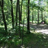 Review photo of Pigeon Creek Campground — Black River State Forest by Krista T., June 16, 2020