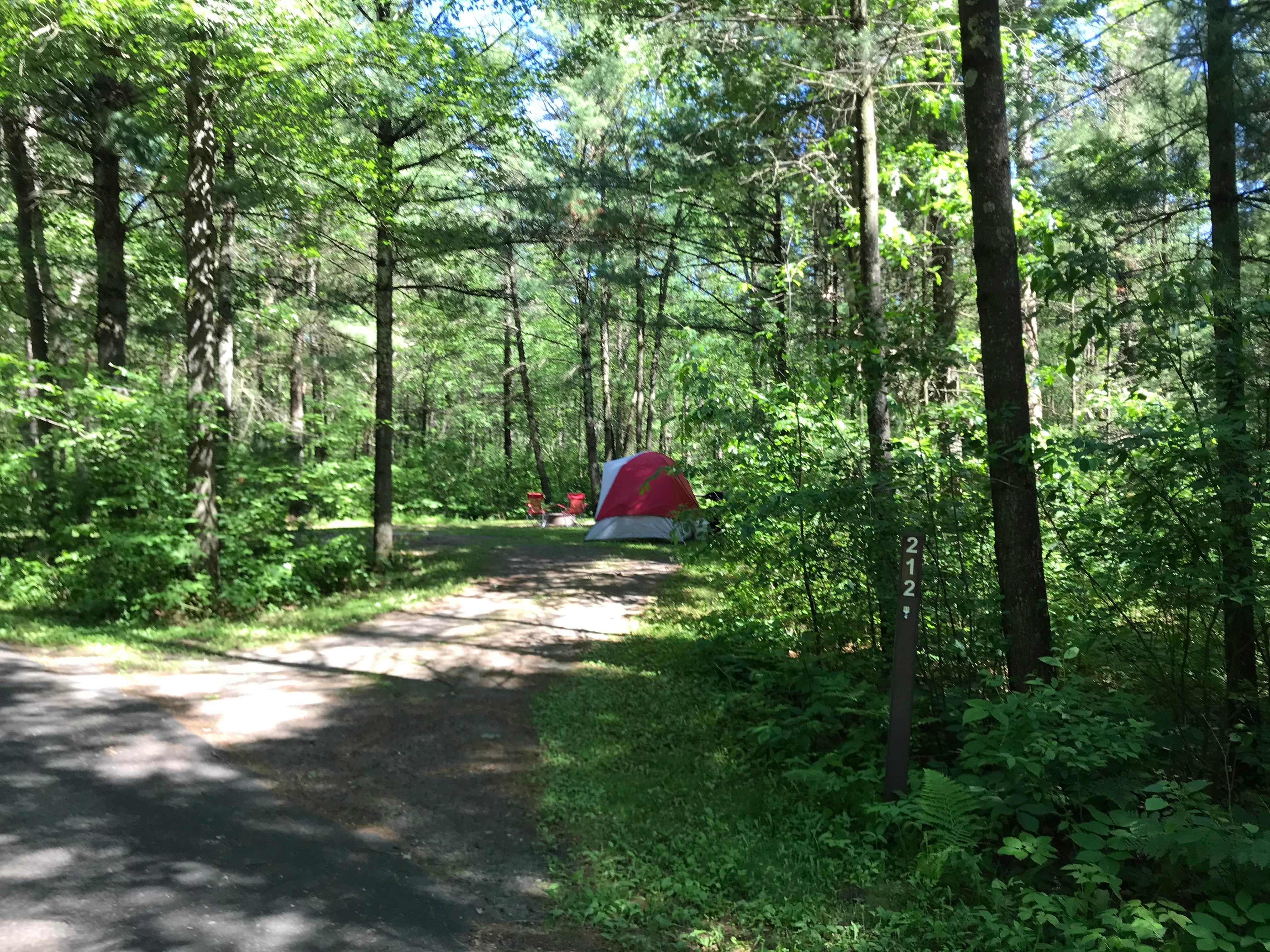 Krista T.'s photo at Pigeon Creek Campground — Black River State Forest near Warrens, WI
