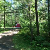 Review photo of Pigeon Creek Campground — Black River State Forest by Krista T., June 16, 2020