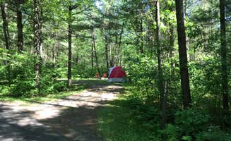 Krista T.'s photo at Pigeon Creek Campground — Black River State Forest near Pittsville, WI