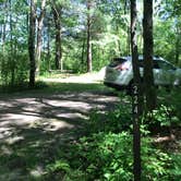 Review photo of Pigeon Creek Campground — Black River State Forest by Krista T., June 16, 2020