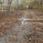 Review photo of Brazil Creek by Staci R., October 24, 2017