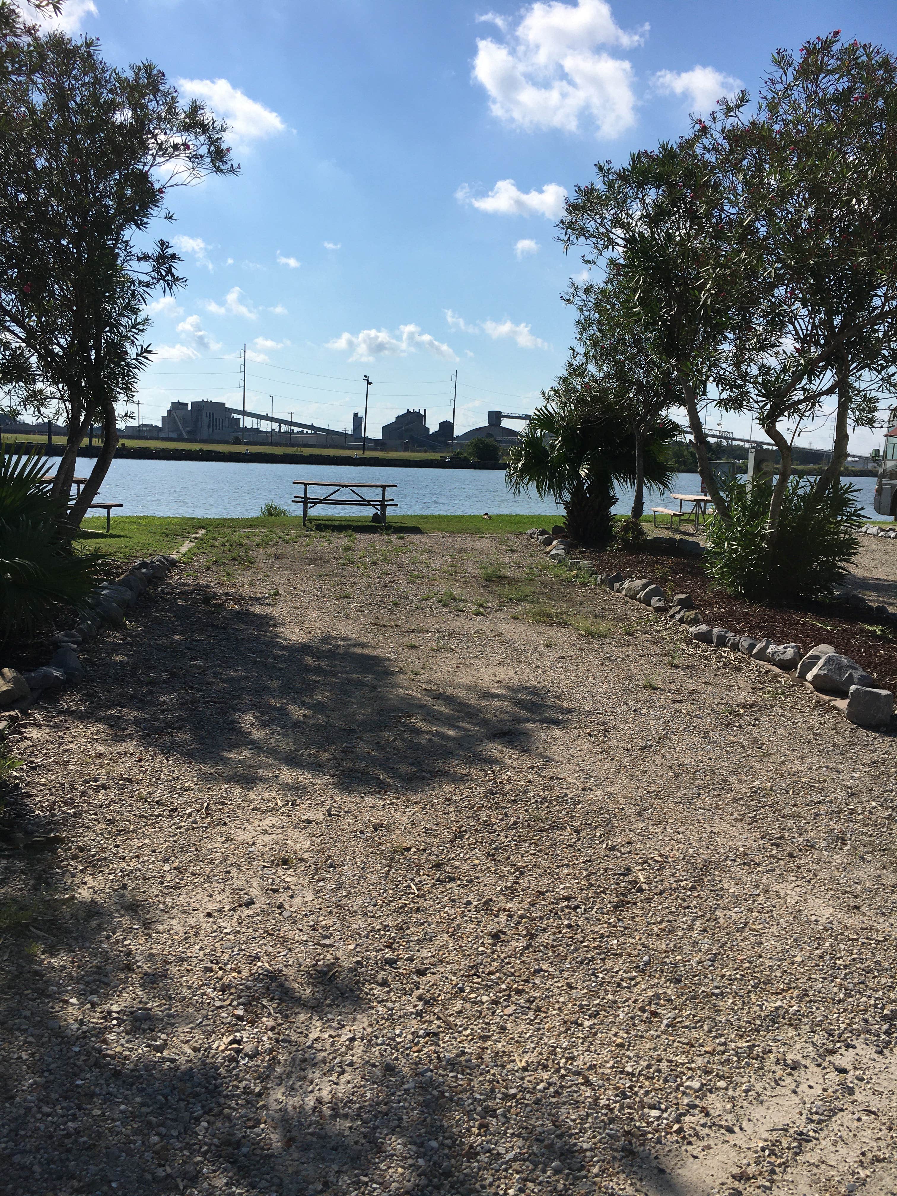 View All