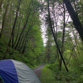 Review photo of Elliott State Forest Dispersed by Lauren B., June 17, 2020