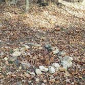 Review photo of Brazil Creek by Staci R., October 24, 2017