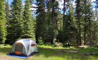 Elizabeth N.'s photo at Cougar Flat near Goose Prairie, WA
