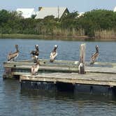 Review photo of Grand Isle State Park Campground by Lelia  R., June 17, 2020