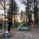 Review photo of Dispersed on 4 - Fenton Lake State Park by marycatmathis  .., June 17, 2020