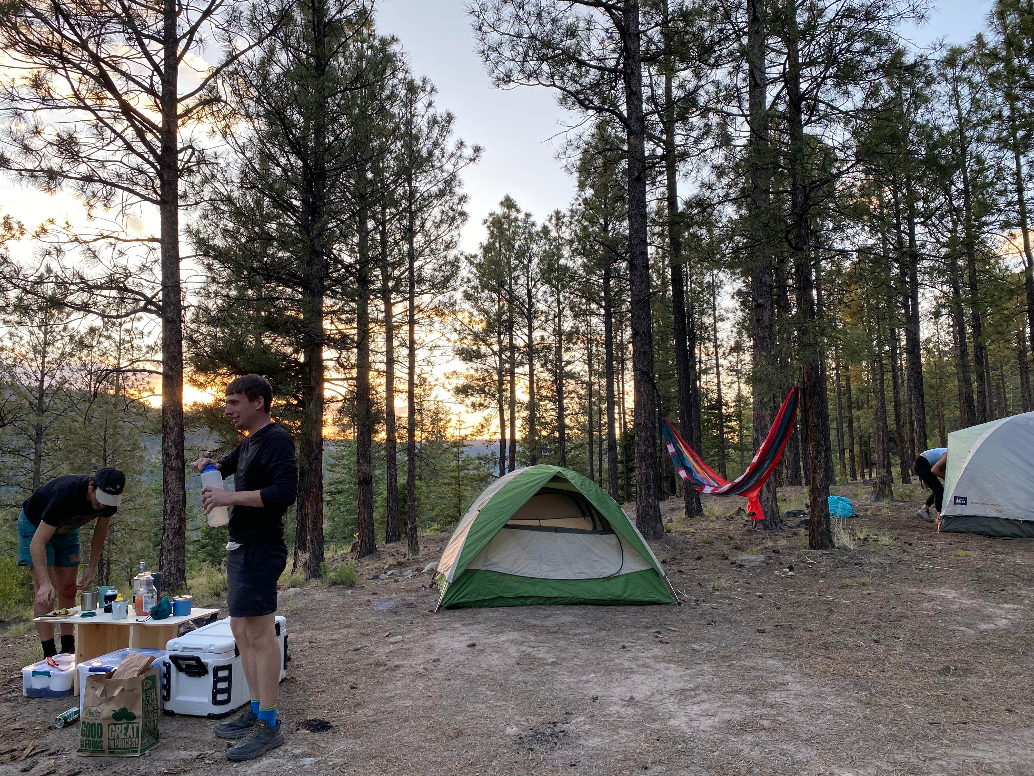 Camper submitted image from Dispersed on 4 - Fenton Lake State Park - 2