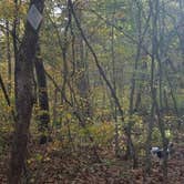 Review photo of Brazil Creek by Staci R., October 24, 2017