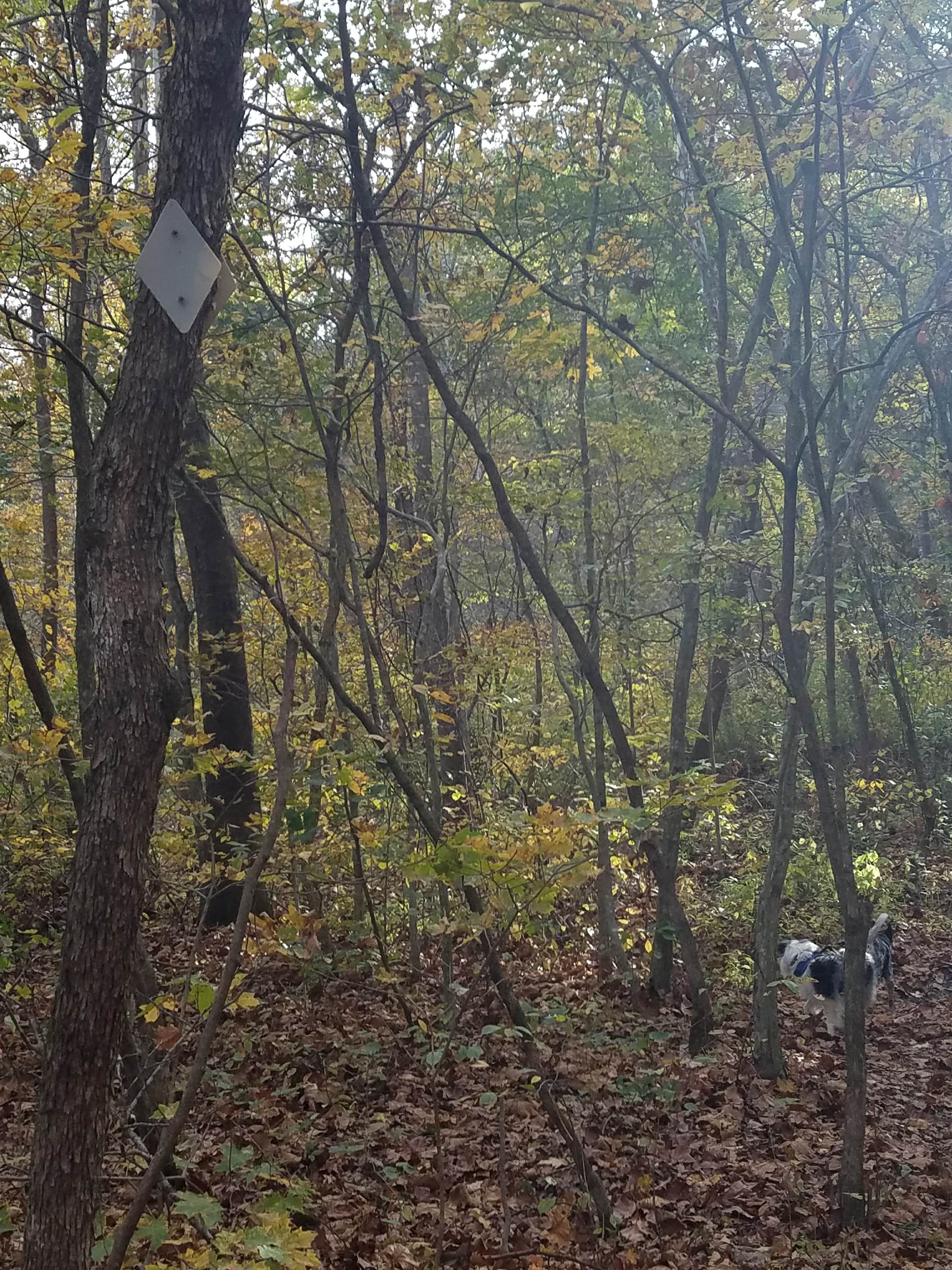 Camper submitted image from Brazil Creek - 1