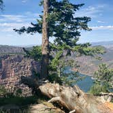 Review photo of Canyon Rim by Allison Z., June 17, 2020