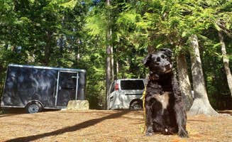 Kelsey M.'s photo of camping with pets at Osprey Campground near Cusick, WA