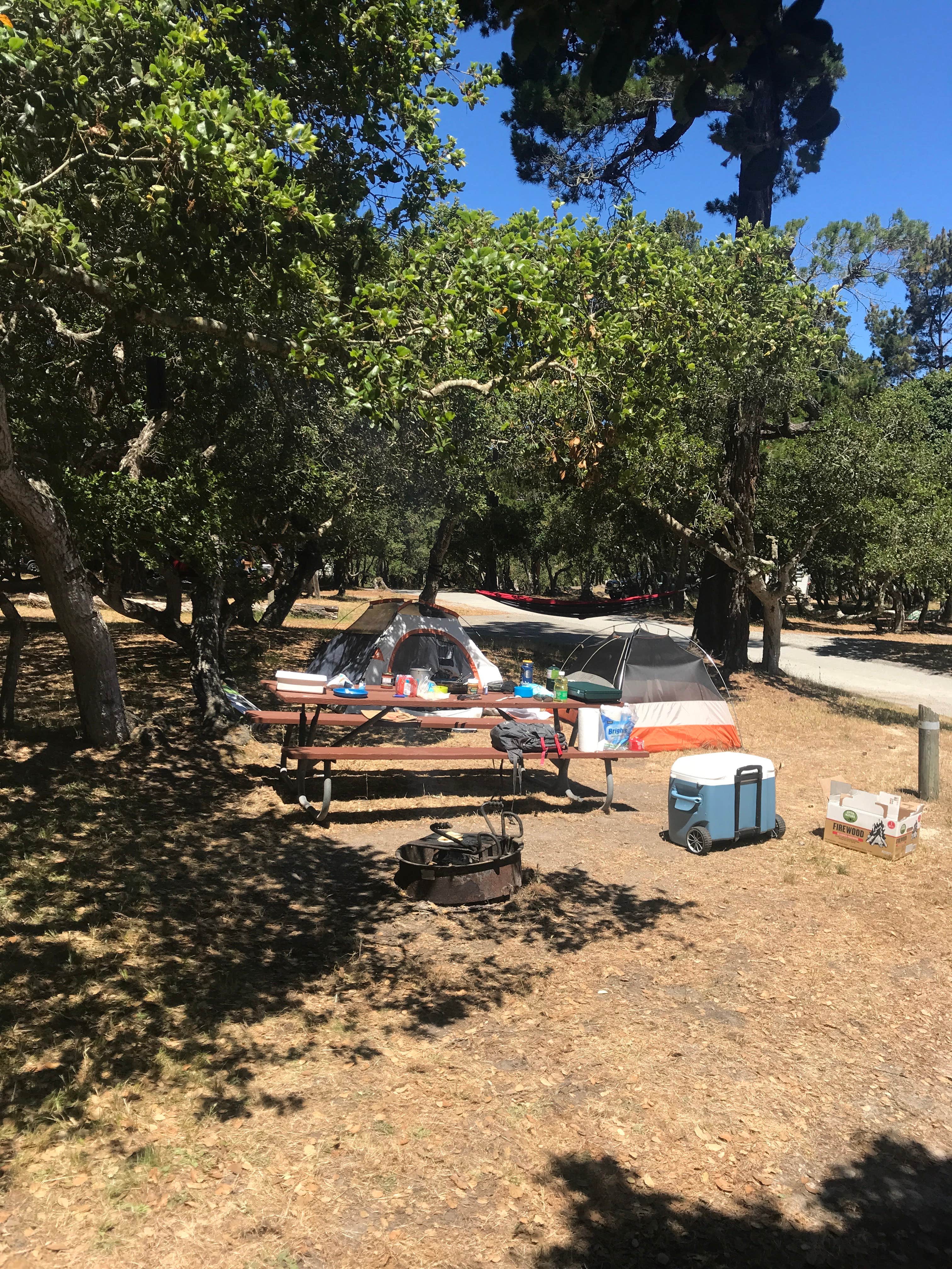 Ricardo C.'s photo at Veteran's Memorial Park Campground near Monterey, CA