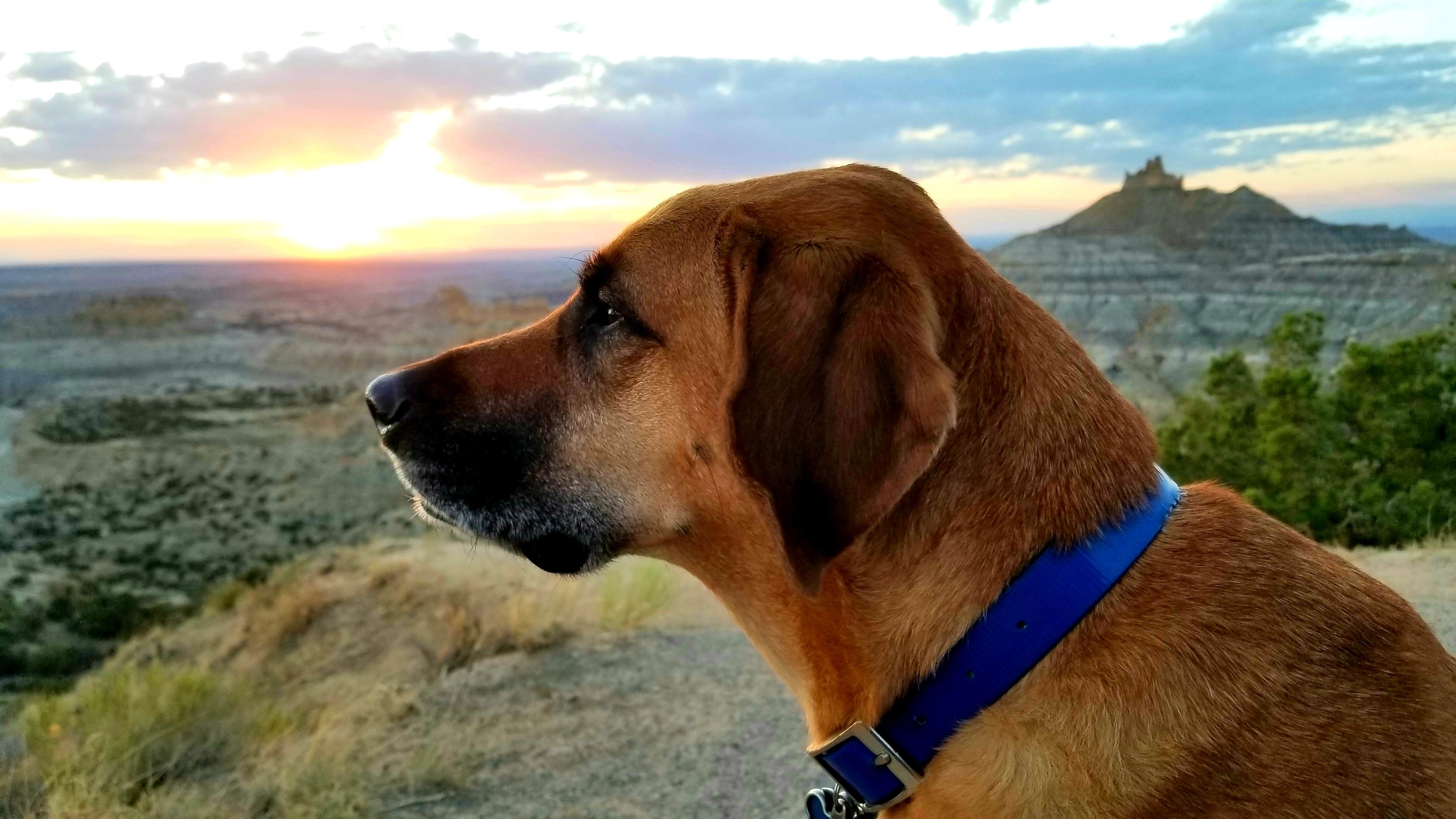Camper-submitted photo at Angel Peak Scenic View Campground near Aztec, NM