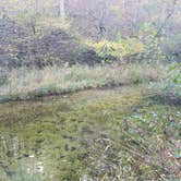 Review photo of Brazil Creek by Staci R., October 24, 2017