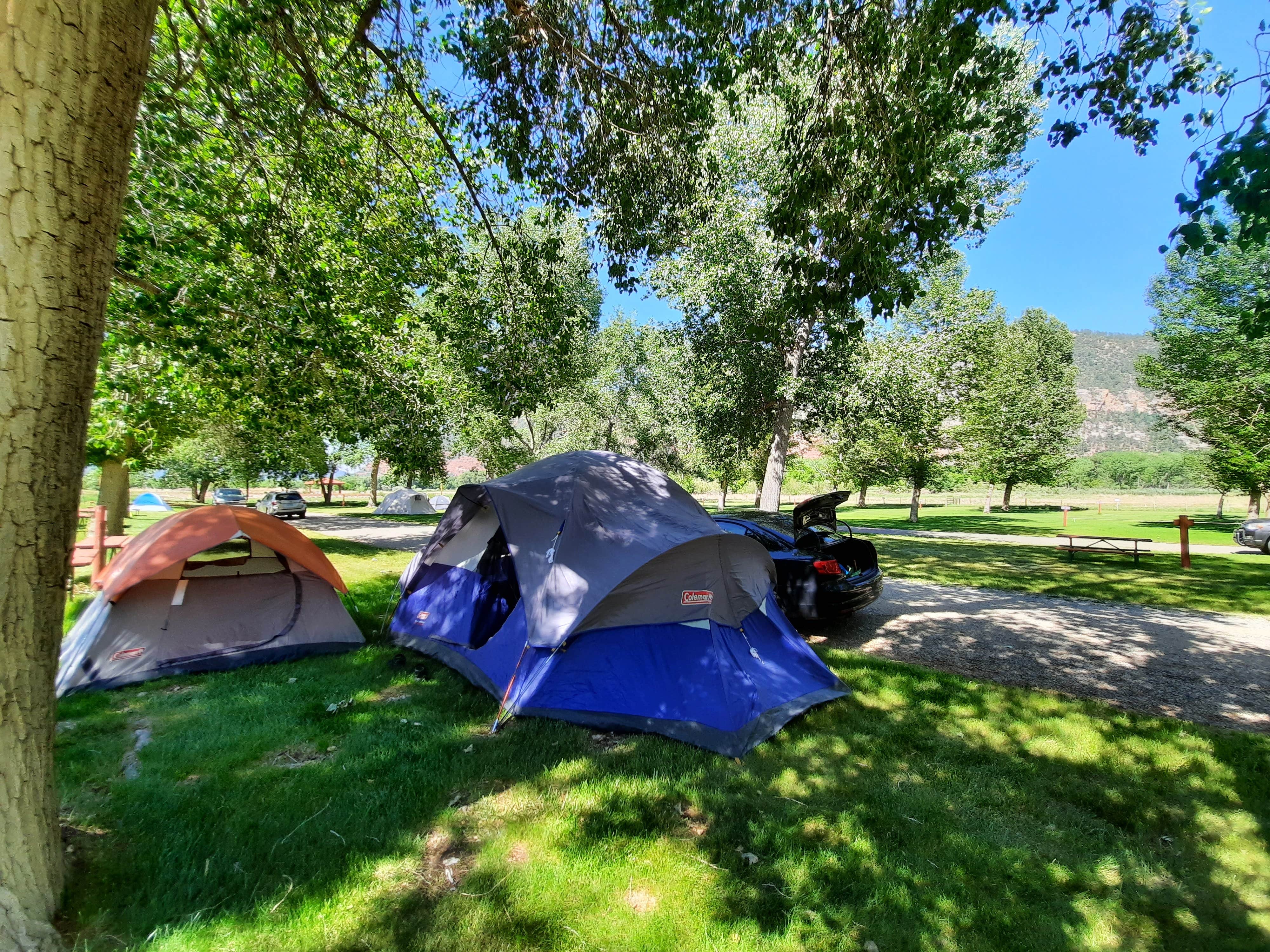 Camper submitted image from United Campground of Durango - 3