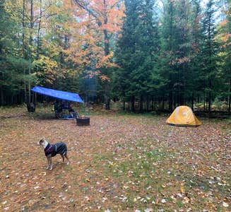 Camper-submitted photo from Old US-131 State Forest Campground