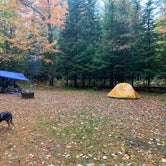 Review photo of Old US-131 State Forest Campground by Harry B., June 17, 2020