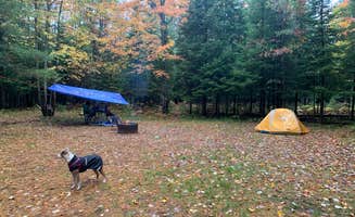 Harry B.'s photo at Old US-131 State Forest Campground near Cadillac, MI