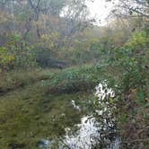 Review photo of Brazil Creek by Staci R., October 24, 2017
