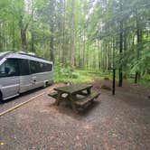 Review photo of Davidson River Campground by The School for  Y., June 17, 2020