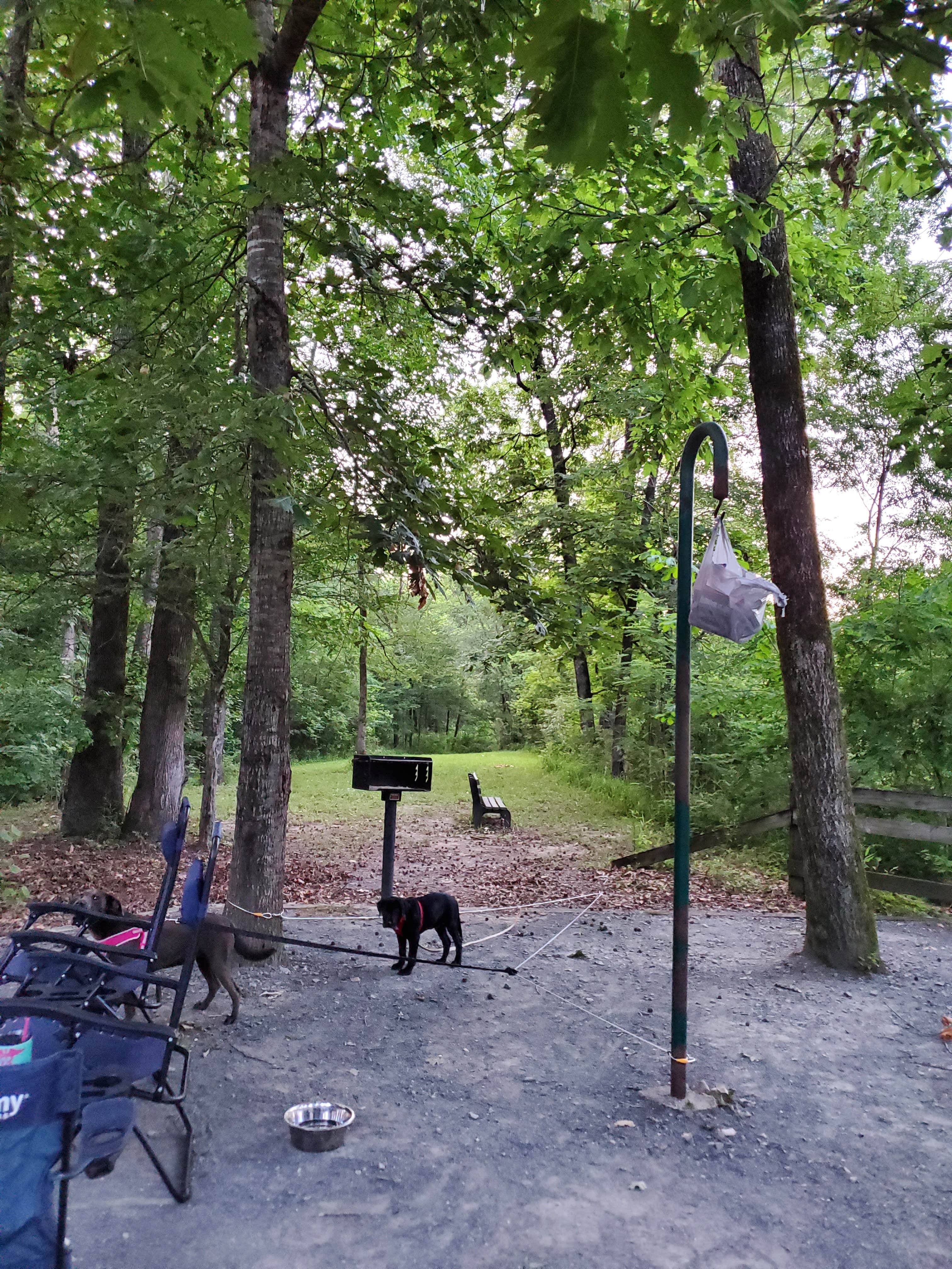Steph C.'s photo at Cossatot Reefs near Gillham Lake