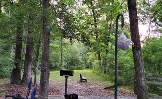 Steph C.'s photo at Cossatot Reefs near DeQueen Lake