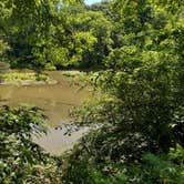 Review photo of Cossatot Reefs - Gillham Lake by Steph C., June 17, 2020