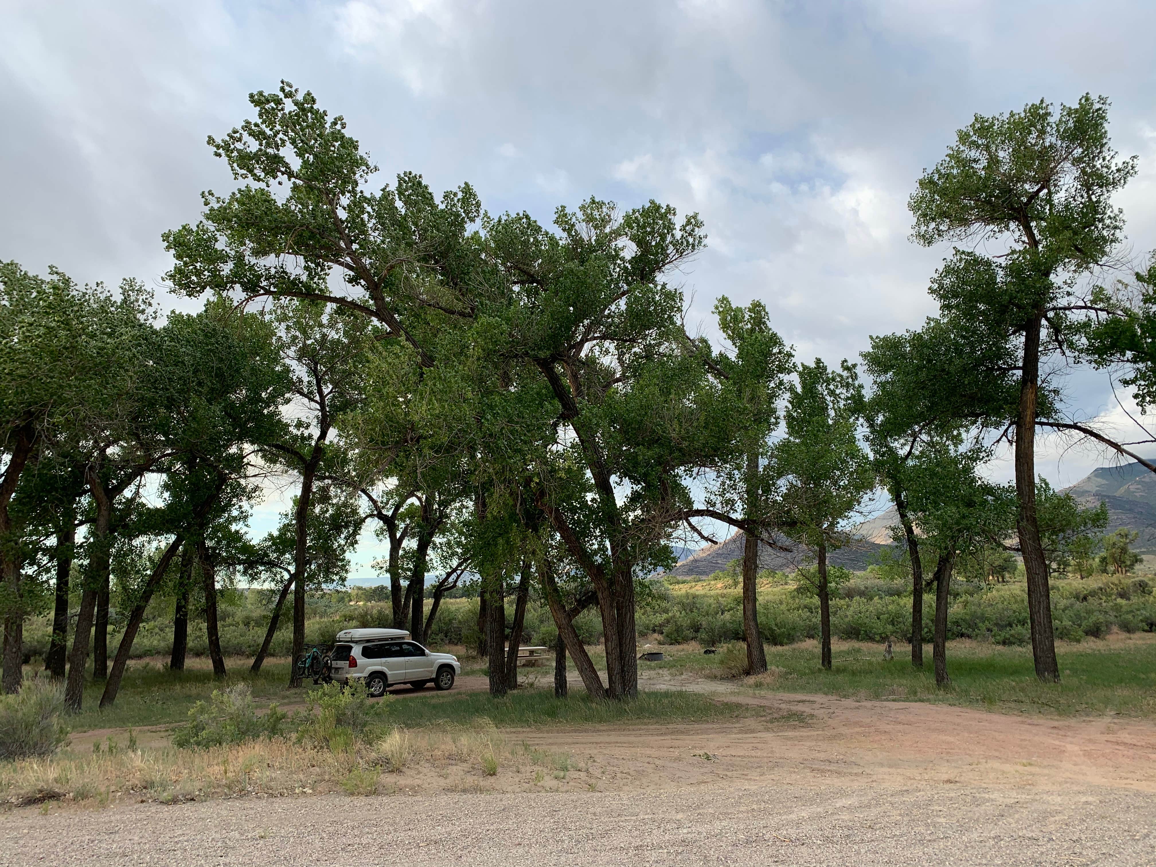 Camper submitted image from Crook Campground - FWS - Browns Park NWR - 4