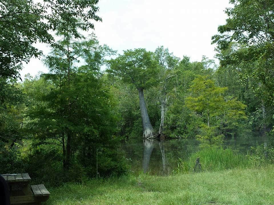 Camper-submitted photo at Becks Camp near Elberta, AL