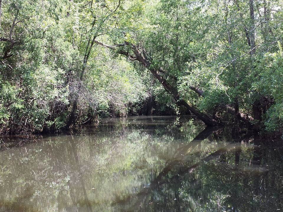 Camper-submitted photo at Becks Camp near Elberta, AL