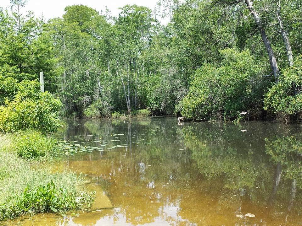 Camper-submitted photo at Becks Camp near Elberta, AL